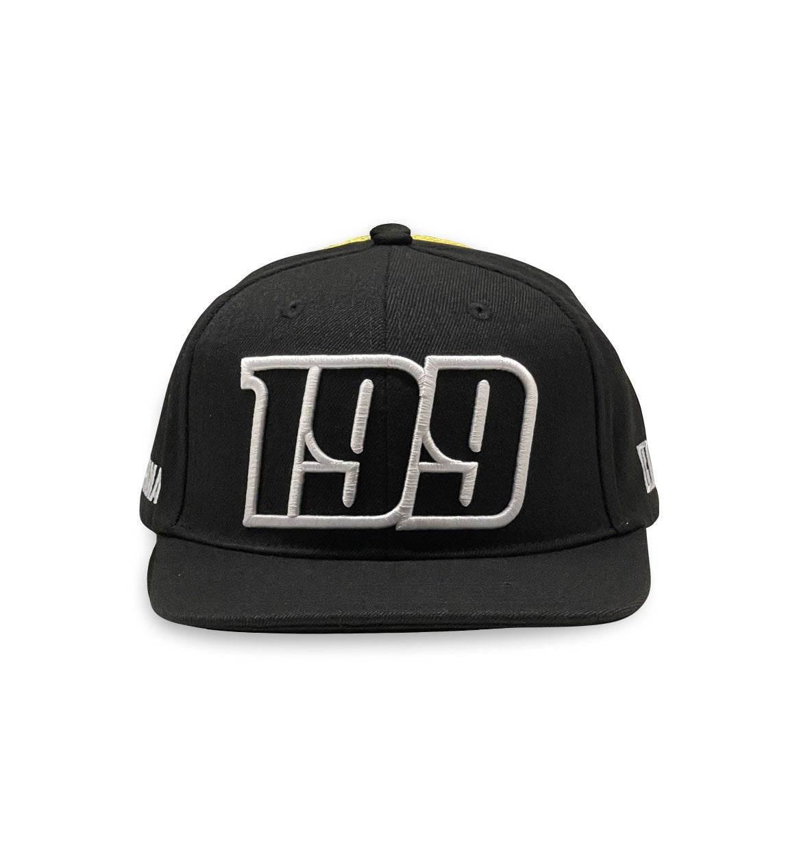 199 EMBROIDERED snapback